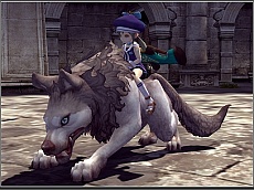 ꡼ No.022Υͥ / ֥ɥ饴ͥȡס줿åץǡȤɲþȡ٥Ȥξܺ٤ˡ֥꡼װʳˤܤѹ¿