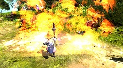 ꡼ No.002Υͥ / ڥɥͥNavi 4Gamer.netǡ3󡧡֥쥹ס֥åס֥ǥߥåפΰɤǺܡ4Gamerꥷꥢ륳ɤۡ