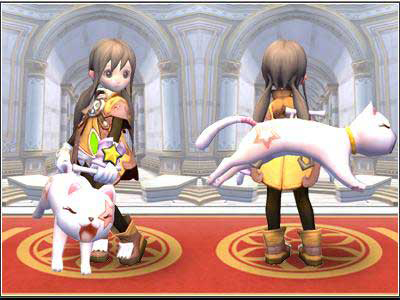 ꡼ No.015Υͥ / ֥ɥ饴ͥȡסɥ饴ͥȤˡ֥ϡɥ⡼ɡפʤɤ륢åץǡȼ»ܡƱ⡼ɤƤȲ򶥤DN-1ץפ⥹