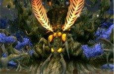 ꡼ No.003Υͥ / ֥ɥ饴ͥȡΥåץǡȤǿ󥸥֥ߥȥͥȡפˡϥ󥤥٥ȤⳫ