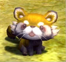 ꡼ No.023Υͥ / ֥ɥ饴ͥȡΥåץǡȤǿ󥸥֥ߥȥͥȡפˡϥ󥤥٥ȤⳫ