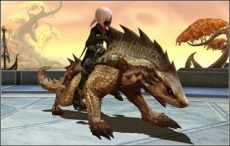 ꡼ No.005Υͥ / ֥ɥ饴ͥȡס16֤ͤϤ碌臘֥ȥإ֥ɱפꥹޥ٥Ȥ¿