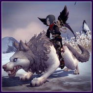 ꡼ No.008 | ֥ɥ饴ͥȡסPvE֥֥åɥ饴ͥȡפ俷2֥֥󥬡פ