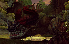 ꡼ No.004 | ֥ɥ饴ͥȡס625ΥåץǡȤɲä֥ɥ饴ϥƥ󥰡ס֥ɥͥȡפξܺ٤Ѥμ»ܤ