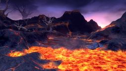 ꡼ No.005 | ֥ɥ饴ͥȡ׿饯ͥȯɽ֥󥷥Ϻƣ¤