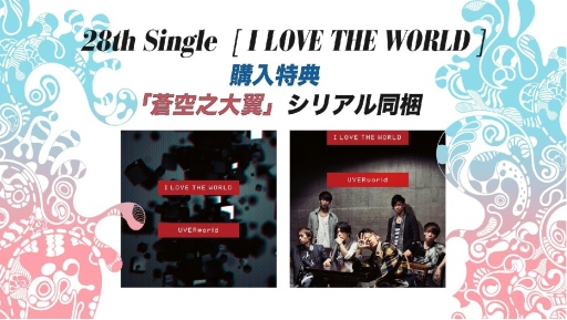 ꡼ No.019Υͥ / Ⱥƻưɤ֥ɥ饴ͥȡסȥϡ֥ɥ饴ͥRפ˥˥塼