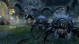 ꡼ No.008 | ֥ɥ饴ͥRפο֥إƥåפμϤȤϡ ƥȥץ쥤ʬä䥲ⵡǽβҲ𤷤褦