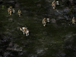 ���������꡼ No.006�Υ���ͥ������ / ��ĤΥޥåפ�Ƨ�ˤ��褦���ֻ���ֹ�����פο��ޥåסֱ��������������