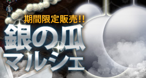 ���������꡼ No.001�Υ���ͥ������ / �ֻ���ֹ�����ס��ȶ���100�����������åȡɤ��������α�ȯ��