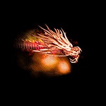 ���������꡼ No.012�Υ���ͥ������ / �ֻ���ֹ�����ס�����ѥ�����Ρְ��¼�פ����ζ���͡פμ�����ޤࡤ���Ƥ˸����ƤΥ��åץǡ��Ⱦ�������