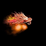 ���������꡼ No.006�Υ���ͥ������ / 16���˼������ֻ���ֹ�����ס���������10������Ƥ����餫��