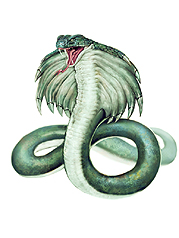 ���������꡼ No.003�Υ���ͥ������ / �������������ֻ���ֹ�����פο��ޥåסְŰǤ�ƶ���פμ�������7��20���˷��ꡣ�����ʥ�󥹥���/�������Ȥξ�������