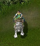 画像ギャラリー No.004のサムネイル画像 / 「三国志豪傑伝」,“金の瓜”から“雪豹調連書”などを手に入れよう