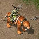 画像ギャラリー No.003のサムネイル画像 / 「三国志豪傑伝」,Lv80到達者に抽選でアイテムを配布。期限は12月7日