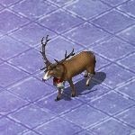 ꡼ No.015 | ֹֻסȸ޿󥿤˽ɤ˻ߤơXmasץ쥼ȡɤ餪