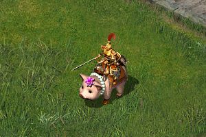 ꡼ No.010Υͥ / ֹֻס4ǯǰפš6פ򽸤Ȣ餪