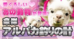 画像ギャラリー No.001のサムネイル画像 / 「三国志豪傑伝」乗り物「アルパカ」が手に入るイベントを本日からスタート