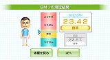 Wii Fit