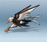 画像ギャラリー No.003のサムネイル画像 / 「トランスピー」のどかな高原や大峡谷の新コースでタイムアタック