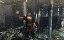 ꡼ No.003Υͥ / ᥤˤޤդWizardry Onlineץ饯ᥤ󥰤ҥ塼ޥξ󤬸ˡҥ塼ޥեΥࡼӡǺ