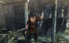 ꡼ No.005Υͥ / ᥤˤޤդWizardry Onlineץ饯ᥤ󥰤ҥ塼ޥξ󤬸ˡҥ塼ޥեΥࡼӡǺ