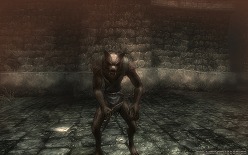 画像ギャラリー No.001のサムネイル画像 / CBT参加者の募集も継続中。「Wizardry Online」,ストーリーとモンスターに関する情報が公開に