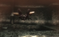 画像ギャラリー No.006のサムネイル画像 / CBT参加者の募集も継続中。「Wizardry Online」,ストーリーとモンスターに関する情報が公開に