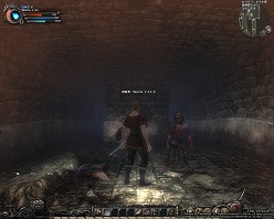 ꡼ No.002 | Wizardry OnlineסԤĩ󥸥±Ĥ⸽֥ꥰ顼ƻסȤäɸ楷ƥξܺ٤ࡼӡǳǧ