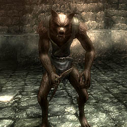 ꡼ No.029 | ֥ȡפλ͡ȴܰڡɤ򴭵ץ쥤䡼ε˻Ĥ륲θ󶡤Wizardry OnlineפˤĤơͤΥץǥ塼ʹ