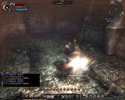 ꡼ No.033 | Wizardry OnlineפCBTֵǽƥȡθץ쥤ݡȤǺܡ֤ϤϤ١ġĤפϡ֥ȡפο̵ѡ