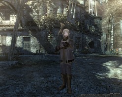 ���������꡼ No.005�Υ���ͥ������ / ��ˡ���Ȥ�������ȴ�������ܺ��Wizardry Online�פ��о줹���²�֥���աפγ��פȥ����꡼�󥷥�åȤ�������