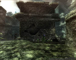 ꡼ No.010 | ƥؤĩWizardry OnlineץХ󥹥ƥȤɲä֥աʽˡסֿ󥸥פʤɤΥƥĤҲ