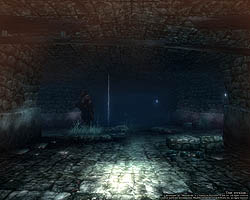 ꡼ No.018 | ƥؤĩWizardry OnlineץХ󥹥ƥȤɲä֥աʽˡסֿ󥸥פʤɤΥƥĤҲ