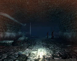 ꡼ No.019 | ƥؤĩWizardry OnlineץХ󥹥ƥȤɲä֥աʽˡסֿ󥸥פʤɤΥƥĤҲ