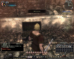 ꡼ No.029 | ƥؤĩWizardry OnlineץХ󥹥ƥȤɲä֥աʽˡסֿ󥸥פʤɤΥƥĤҲ