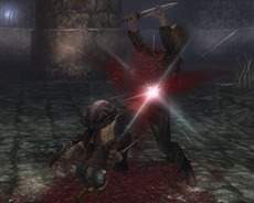 ���������꡼ No.004�Υ���ͥ������ / ��Wizardry Online�ס���²�֥ݡ�����פγ��ס������꡼�󥷥�åȸ��������֤����Фο��ϴ���ΥХ��᡼����