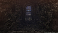 ꡼ No.005 | Wizardry OnlineפOBT107ȡƱƥȤǼ뿷󥸥֥ԮפΥࡼӡ