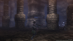 ꡼ No.007 | Wizardry OnlineפOBT107ȡƱƥȤǼ뿷󥸥֥ԮפΥࡼӡ