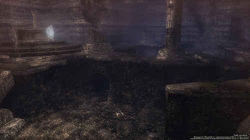 ꡼ No.009 | Wizardry OnlineפOBT107ȡƱƥȤǼ뿷󥸥֥ԮפΥࡼӡ