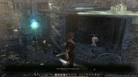 ���������꡼ No.003�Υ���ͥ������ / ��Wizardry Online�ס����������ӥ����褬���ơȥ�����륷��åסɤ���·�������