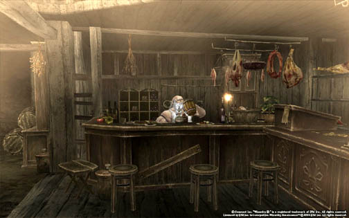 ꡼ No.008 | ̾WizardryפȼMMORPGȤWizardry Onlineץӥ塼