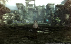 ꡼ No.017 | ̾WizardryפȼMMORPGȤWizardry Onlineץӥ塼