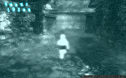 ꡼ No.026 | ̾WizardryפȼMMORPGȤWizardry Onlineץӥ塼