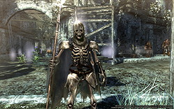 ꡼ No.036 | ̾WizardryפȼMMORPGȤWizardry Onlineץӥ塼