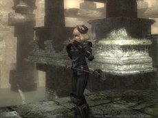 ꡼ No.007Υͥ / Wizardry OnlineΥåץǡȤǿ󥸥֥ɿ׺֡פˡ侩٥22ʾι٥󥸥ιάĩ⤦