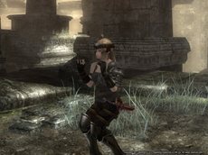 ꡼ No.008Υͥ / Wizardry OnlineΥåץǡȤǿ󥸥֥ɿ׺֡פˡ侩٥22ʾι٥󥸥ιάĩ⤦