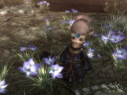 ꡼ No.020 | Wizardry OnlineפϥåץǡȤȥɺԤǥߥ˥ƥ򶯲˾θˡȾ鿦μͽˤڤ/ȯ।󥿥ӥ塼