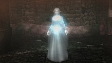 ���������꡼ No.002�Υ���ͥ������ / ��Wizardry Online�ס��緿���åץǡ��ȡ֥ǥ����Ȥ�����������5�Ƥ�������Ȼ����η��ҡɤ����Ȥʤ뿷���󥸥���̴���λ�������о�