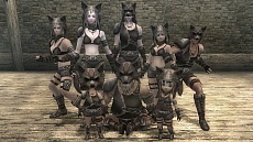 ���������꡼ No.014�Υ���ͥ������ / ��Wizardry Online�ס������󥸥��ֹ��Ѥγǡפ�������ޥ��������ƥ���ɲä䥭��饯����������¤����äȤ��ä���ǽ��ĥ��