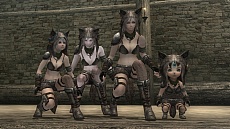 ���������꡼ No.017�Υ���ͥ������ / ��Wizardry Online�ס������󥸥��ֹ��Ѥγǡפ�������ޥ��������ƥ���ɲä䥭��饯����������¤����äȤ��ä���ǽ��ĥ��